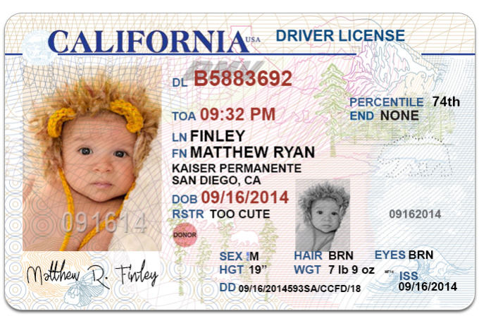 Free fake drivers license template - tajolo